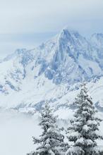 吕晚村先生文集