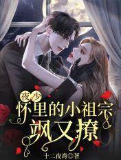 夜少怀里的小祖宗又飒又撩